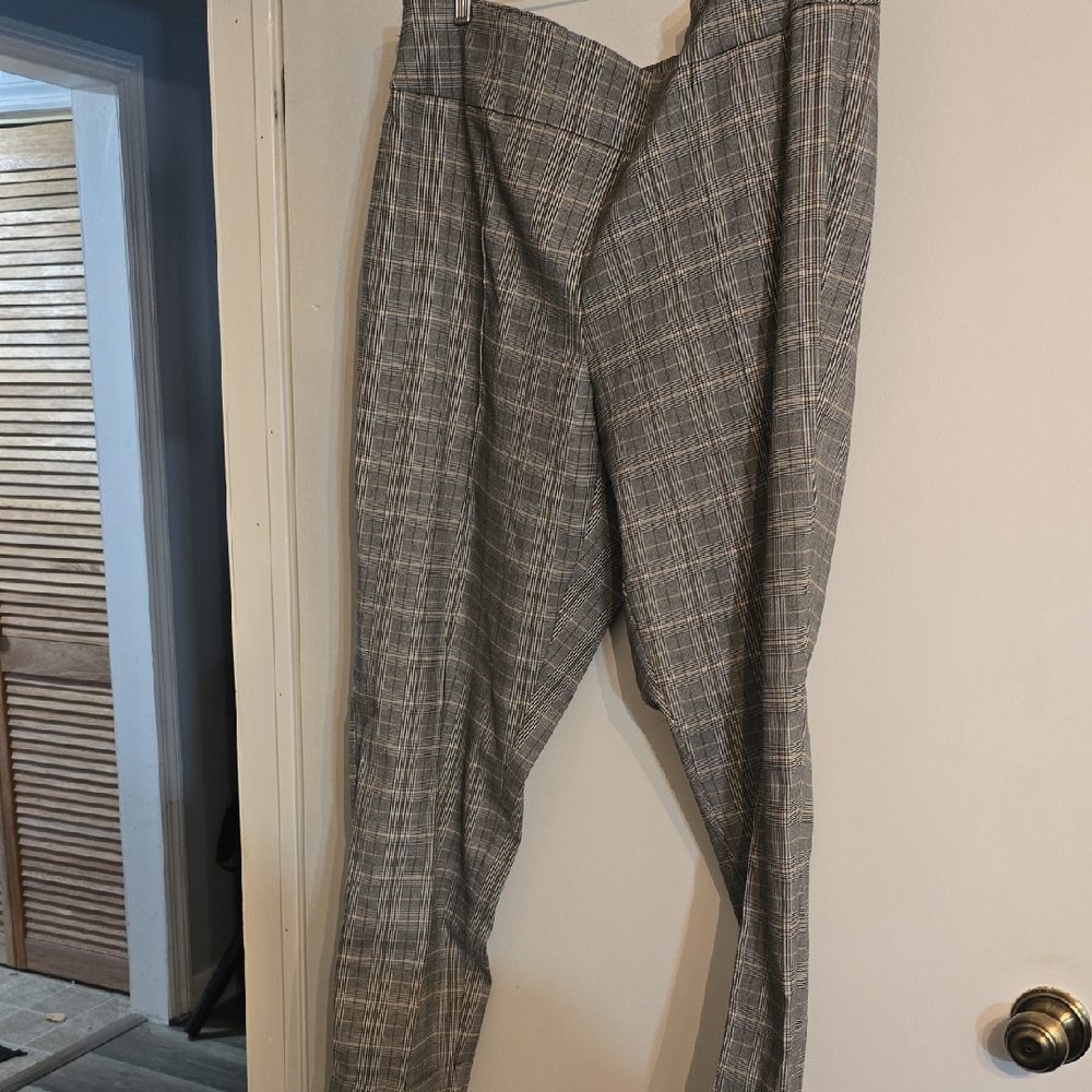 Ladies Stylish Ankle Pants